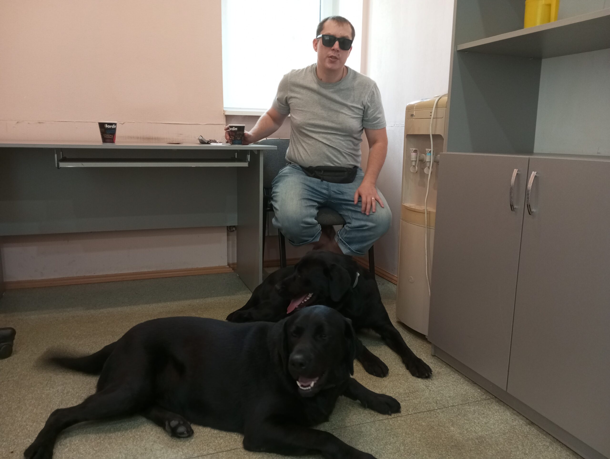 Работа в радость: клуб собак-проводников ждёт активных владельцев четвероногих помощников