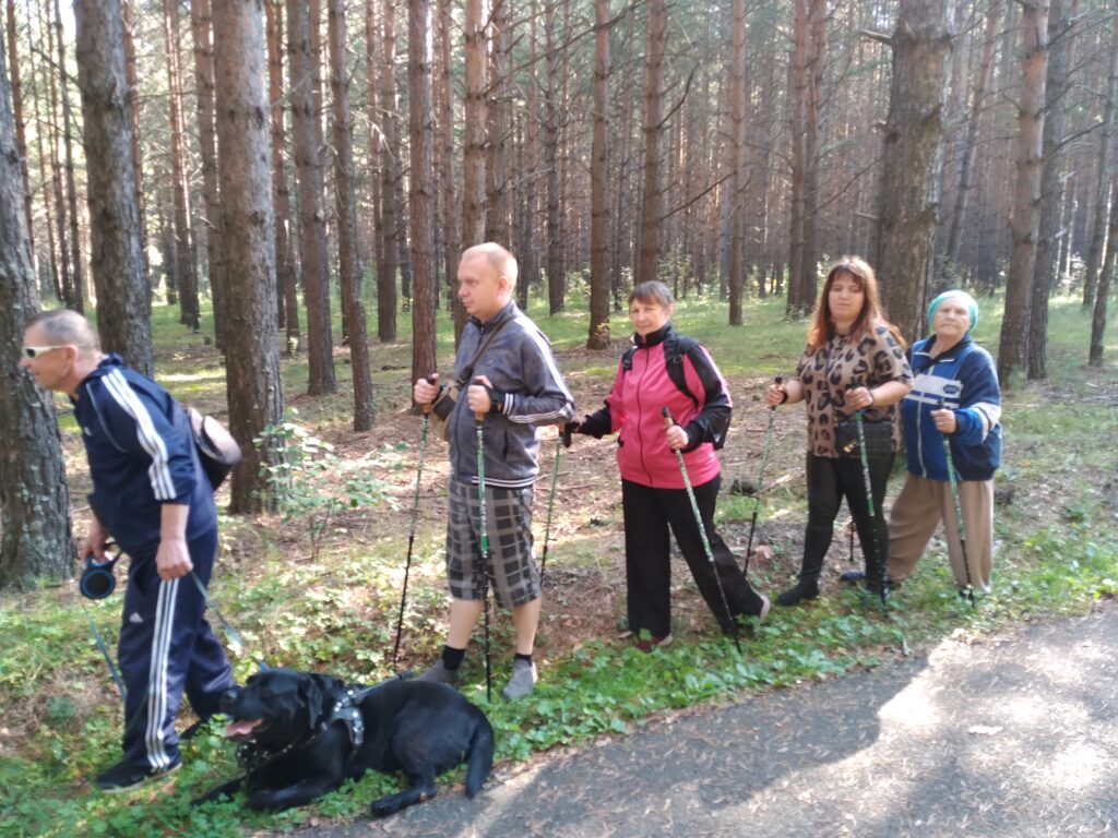 руппа идёт по сосновому бору с палками для скандинавской ходьбы.