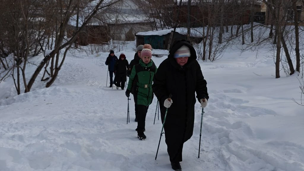 Несколько людей идут по заснеженной тропинке с палками для ходьбы; вокруг снег и голые деревья.