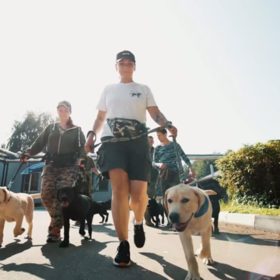 Вышел короткометражный фильм о подготовке собак-проводников