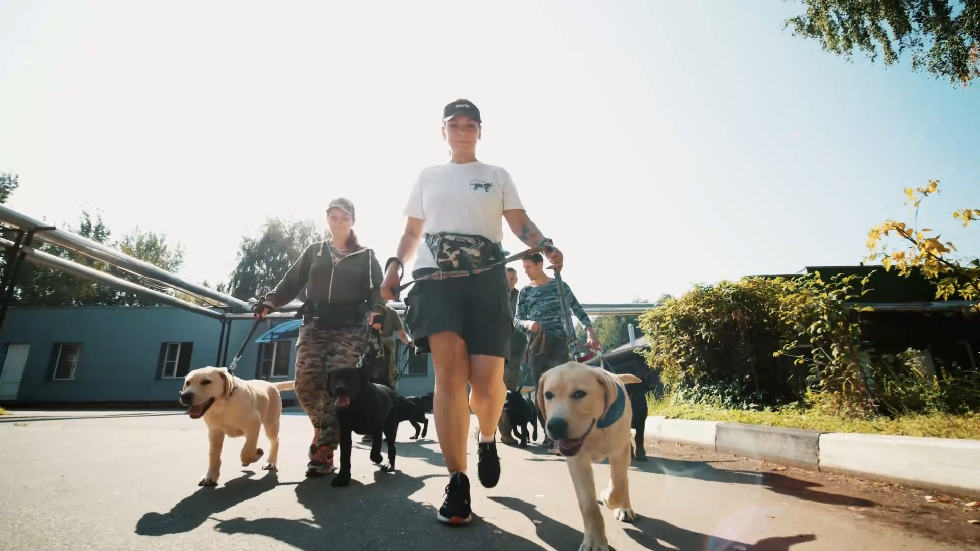 инструктора с собаками-проводниками идут по улице