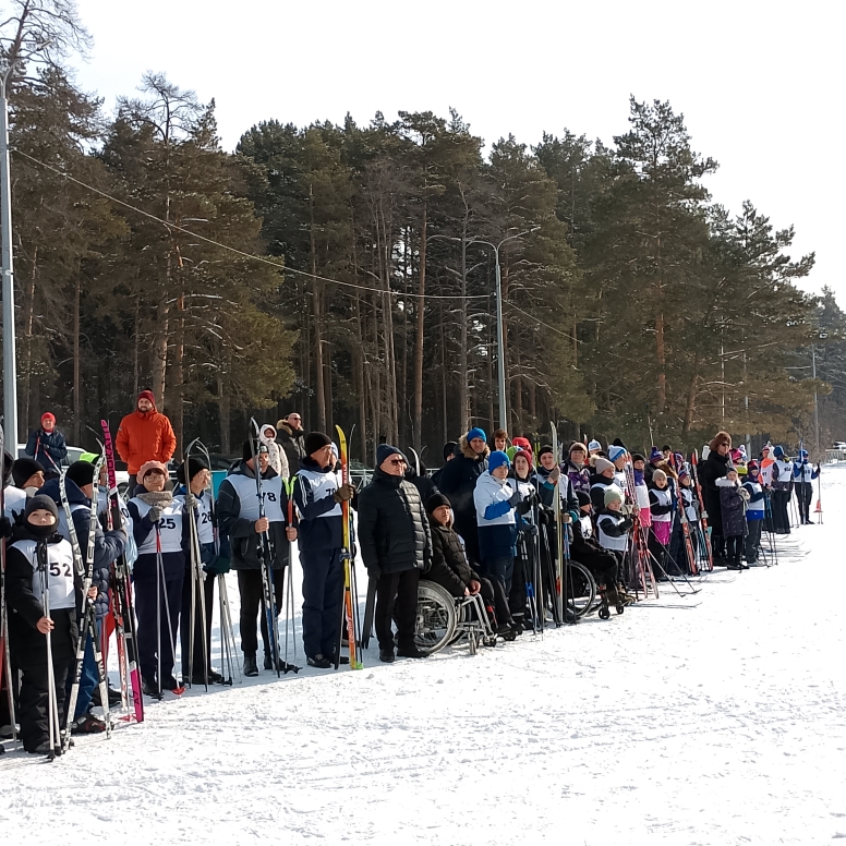 Люди стоят в длинной линии на снежной лыжной трассе с лыжами и палками; на заднем плане сосновый лес.