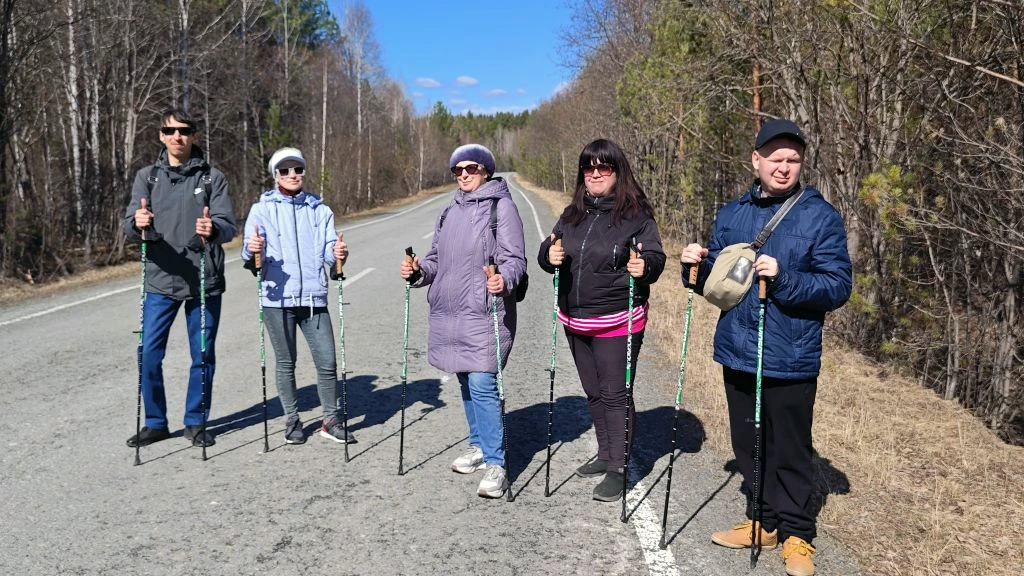 Пять человек с палками для скандинавской ходьбы стоят на лесной дороге в солнечный день.