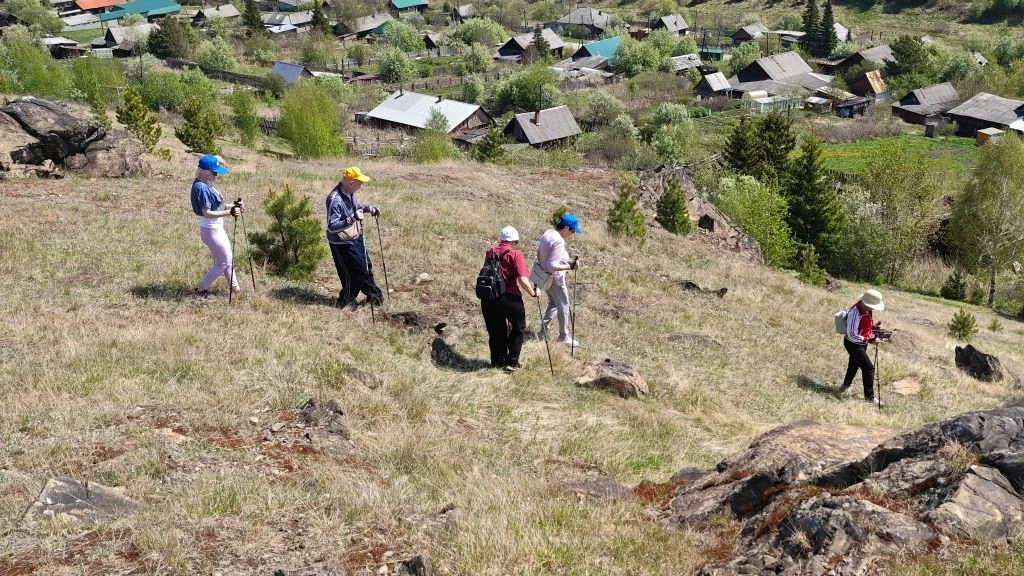 Пять человек с треккинговыми палками идут по травянистому склону вниз, на заднем плане внизу видна деревня с домами и зелёными деревьями.