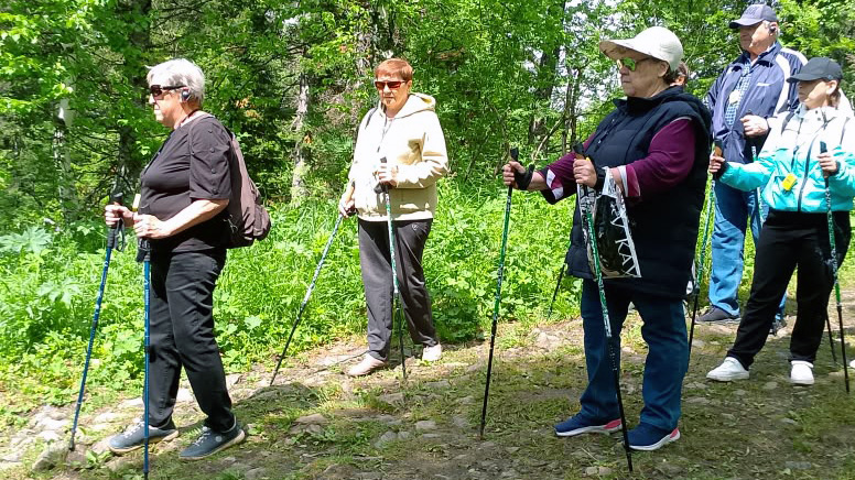 Группа людей идёт по лесной тропе с палками для скандинавской ходьбы, одеты по‑спортивному, на некоторых кепки и солнцезащитные очки.